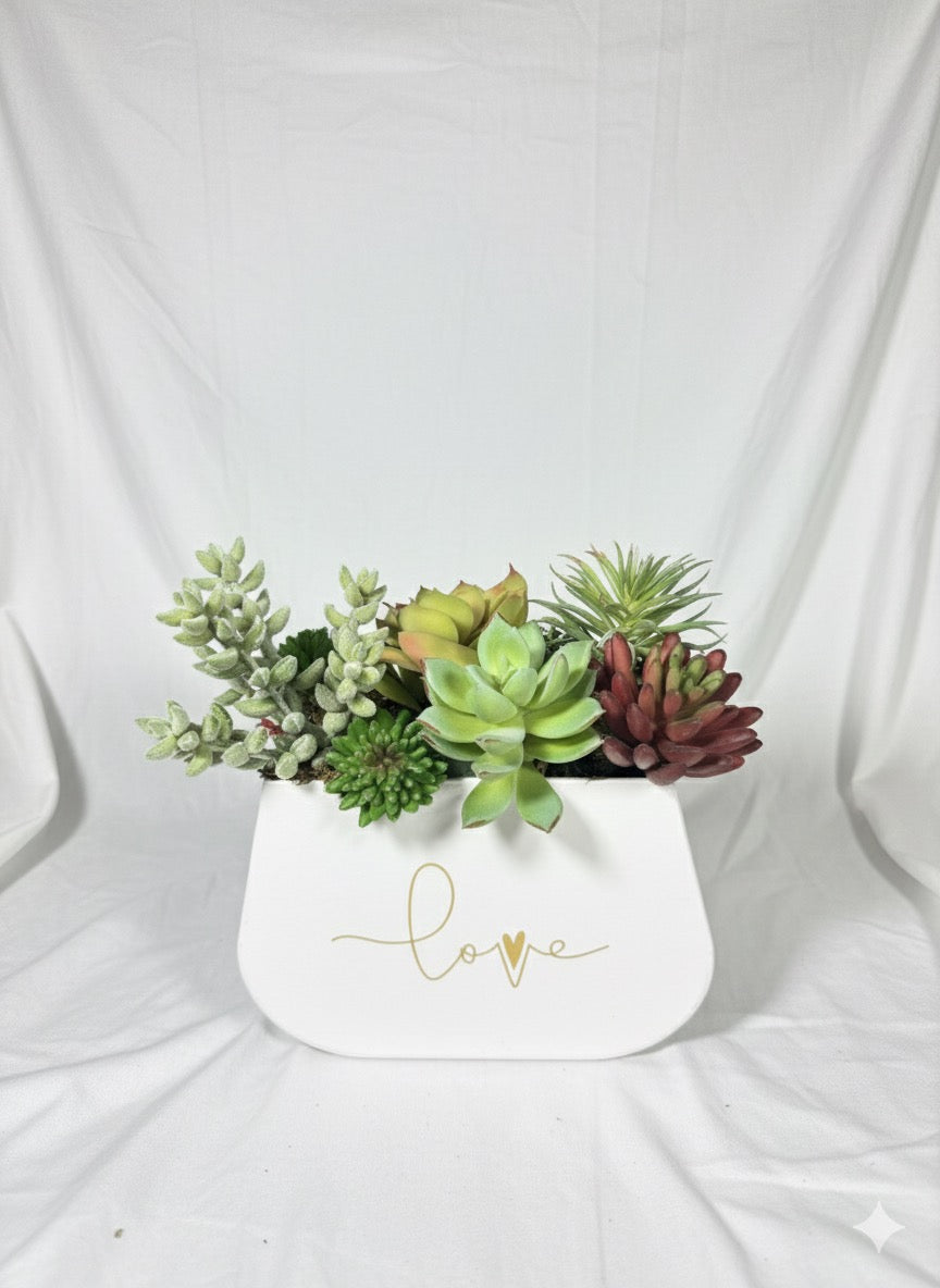 Kivaar Small white- Succulent Arrangement 