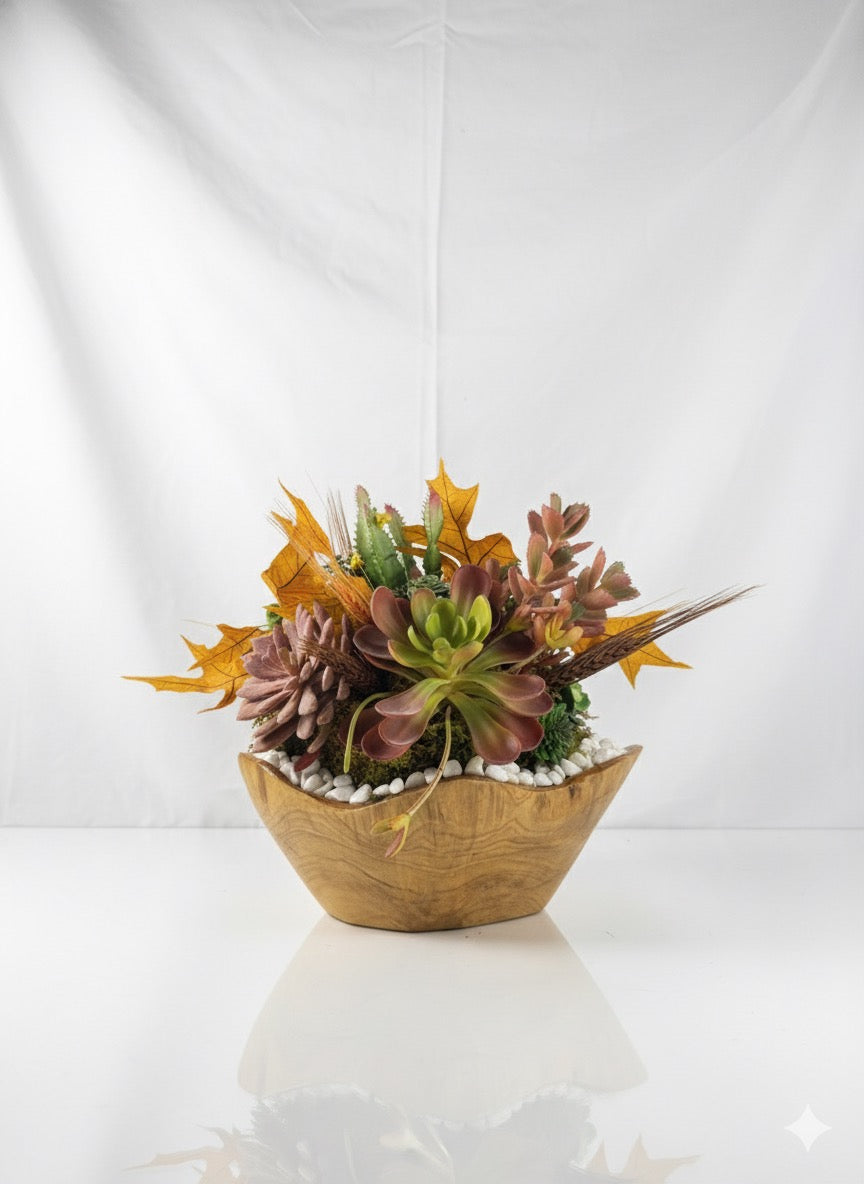 Kivaar otoño - suculenta