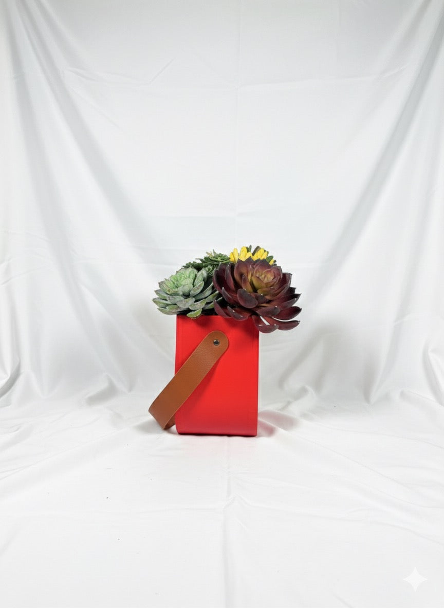 Kivaar red Love- Succulent Arrangement