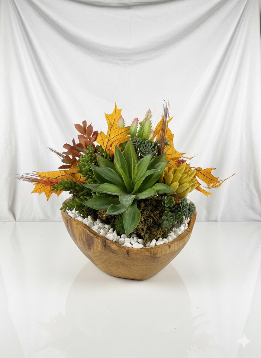 Kivaar otoño - suculenta