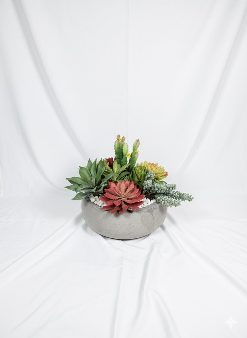 Kivaar passion- Succulent ￼