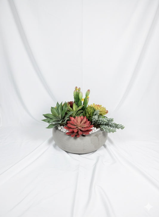 Kivaar passion- Succulent ￼