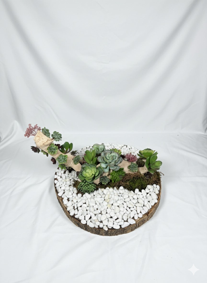 Kivaar Garden plane - Succulent