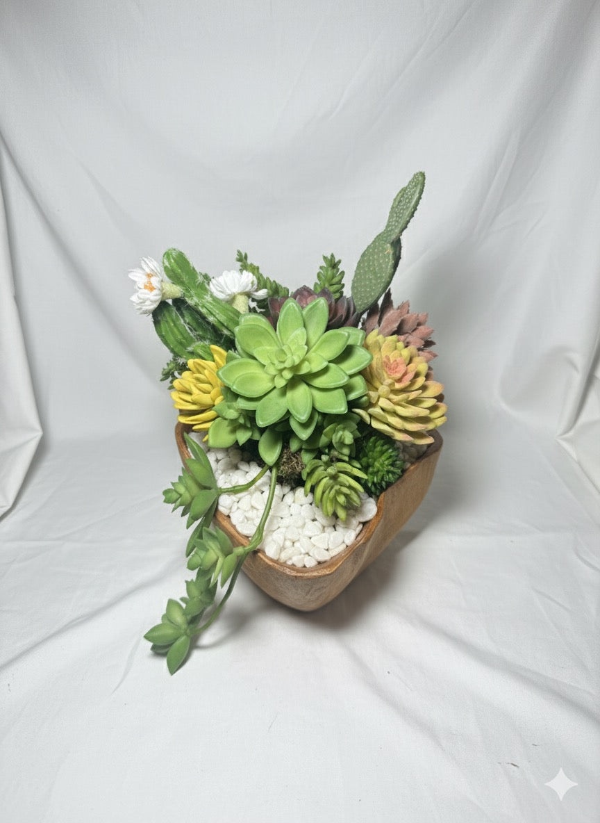 Kivaar Gardens - Succulent Arrangement