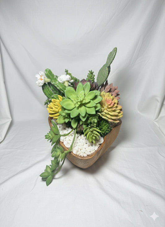 Kivaar Gardens - Succulent Arrangement
