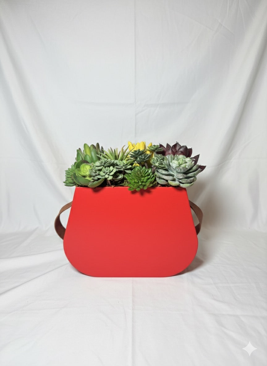 Kivaar red Love- Succulent Arrangement