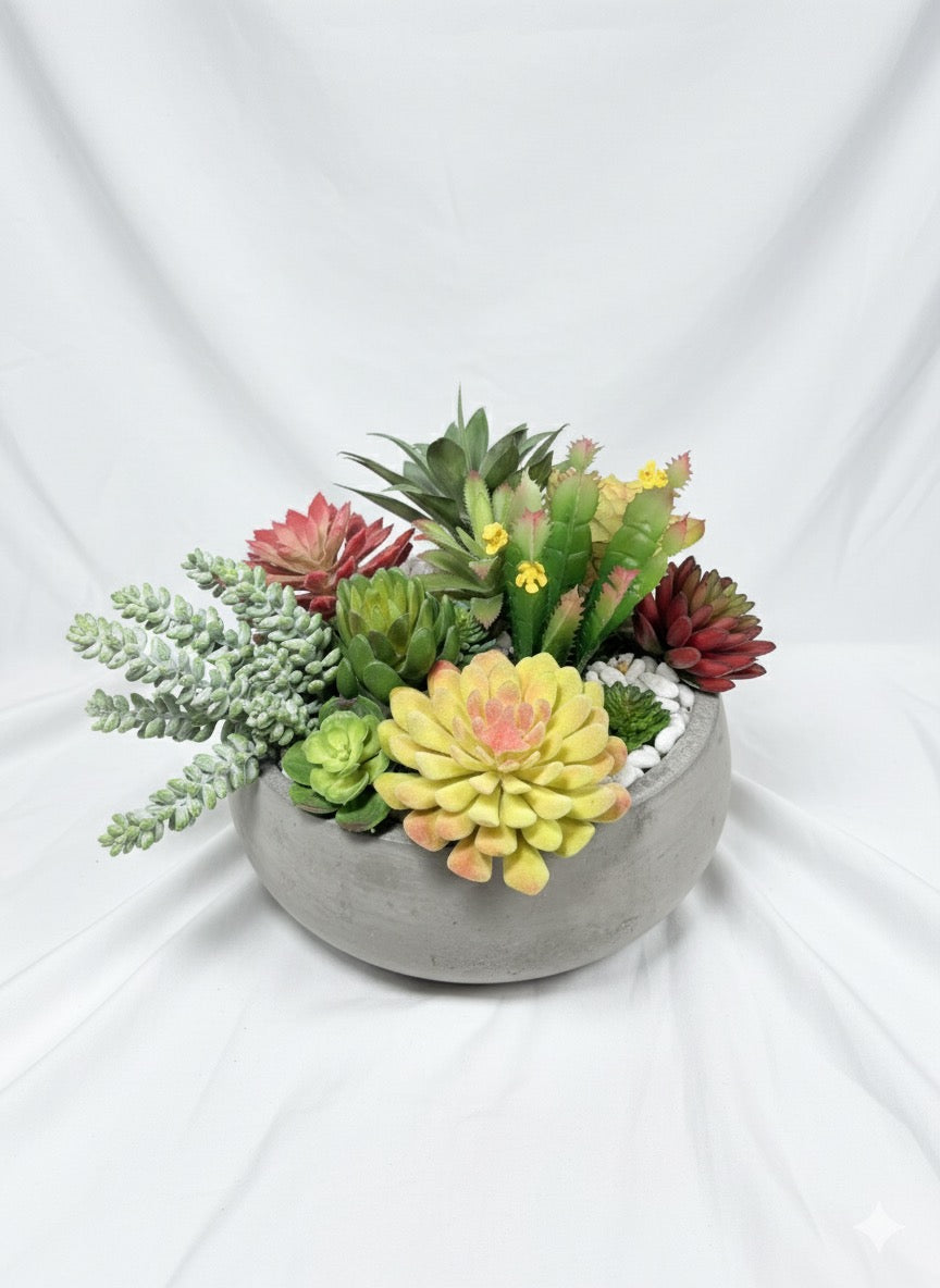 Kivaar passion- Succulent ￼