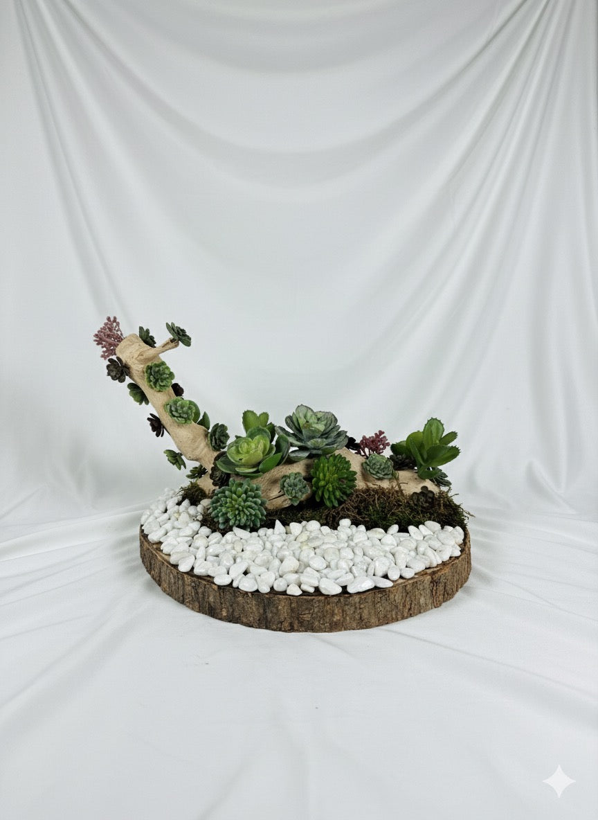 Kivaar Garden plane - Succulent