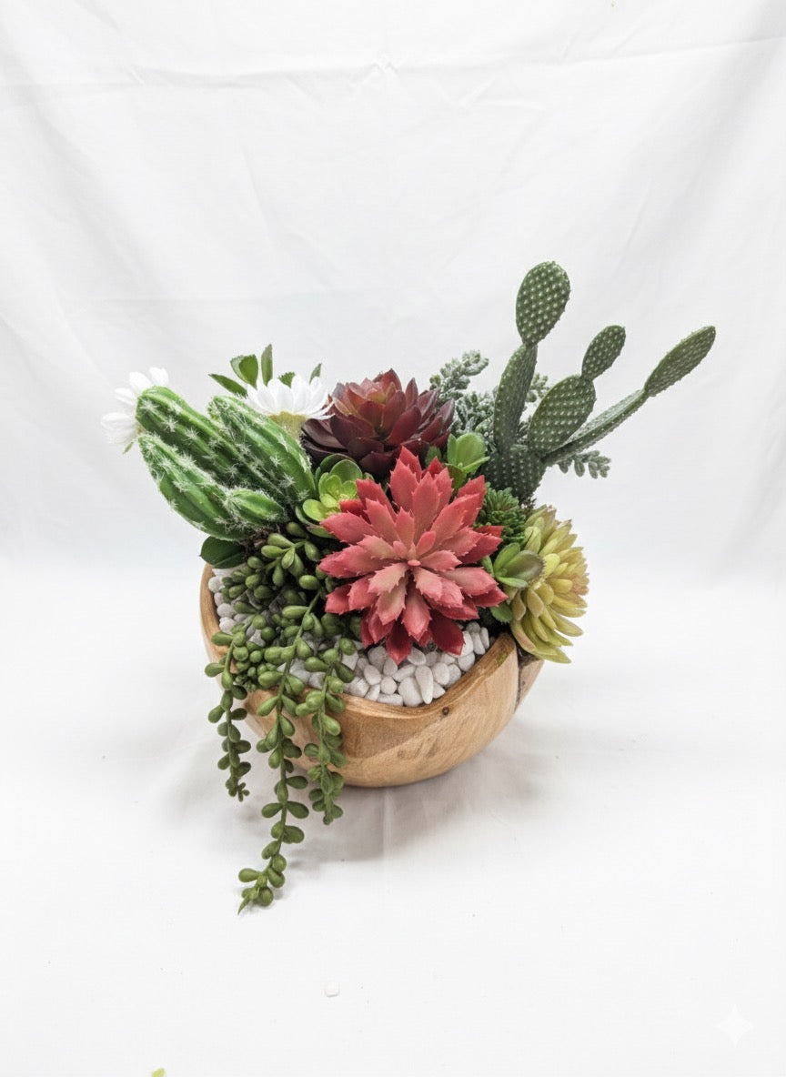 Kivaar Gardens - Succulent Arrangement