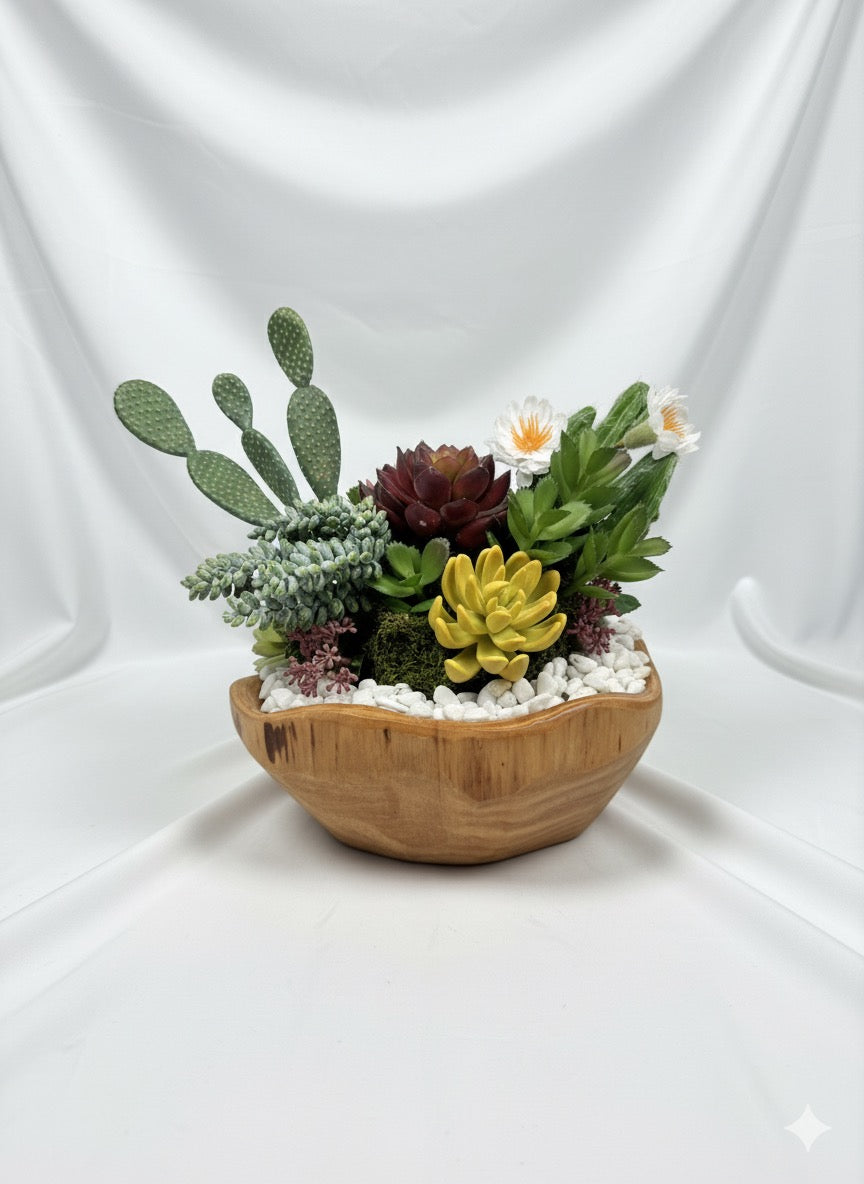Kivaar Gardens - Succulent Arrangement