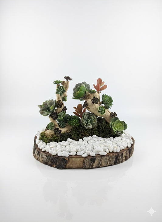 Kivaar Garden plane - Succulent