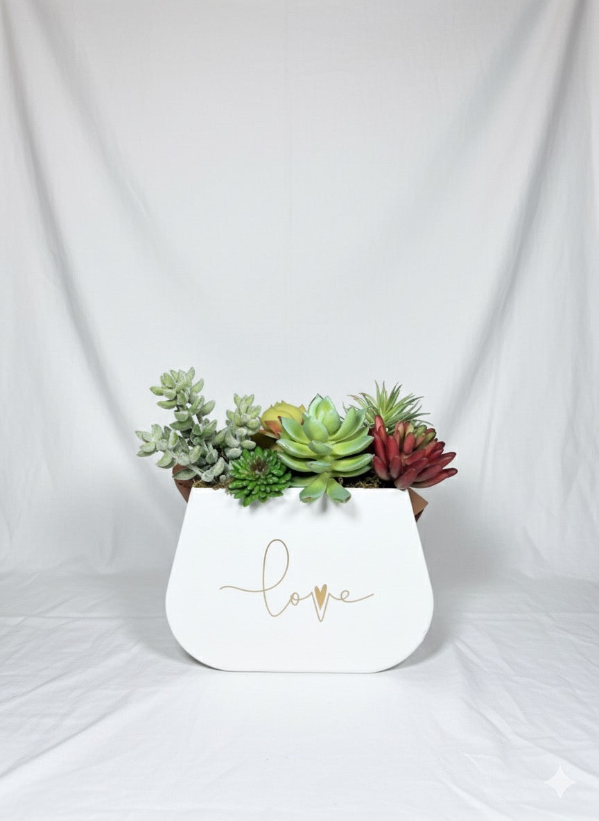 Kivaar Small white- Succulent Arrangement ￼
