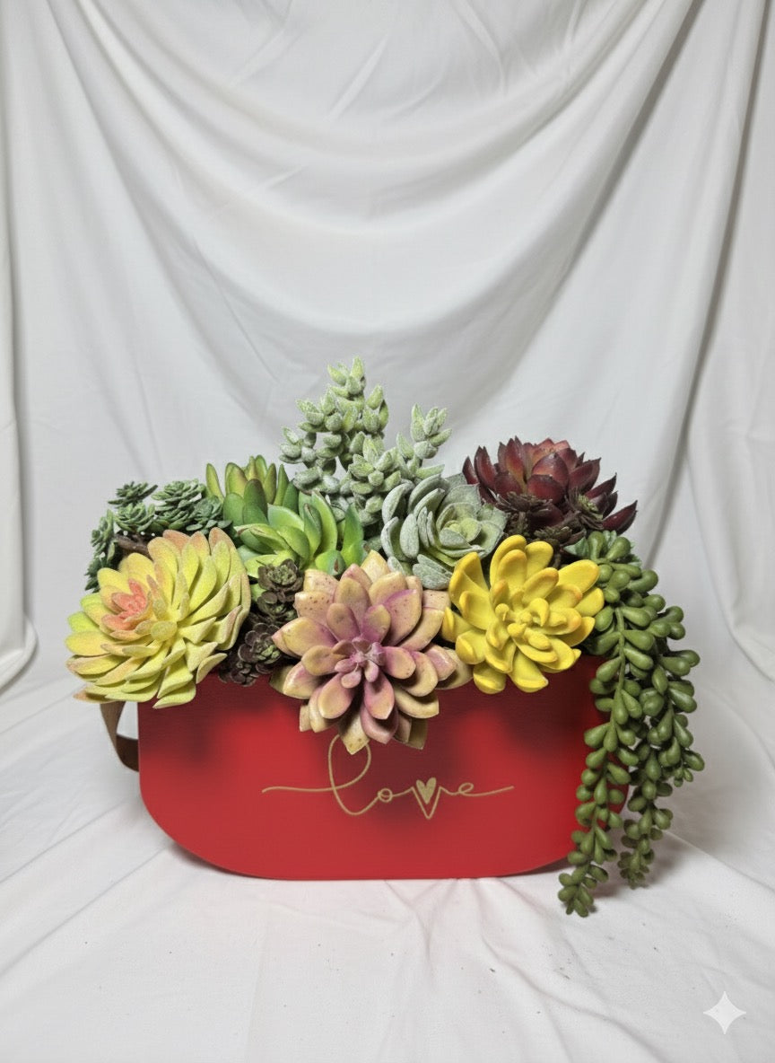 KIVAAR LOVE RED - SUCCULENT