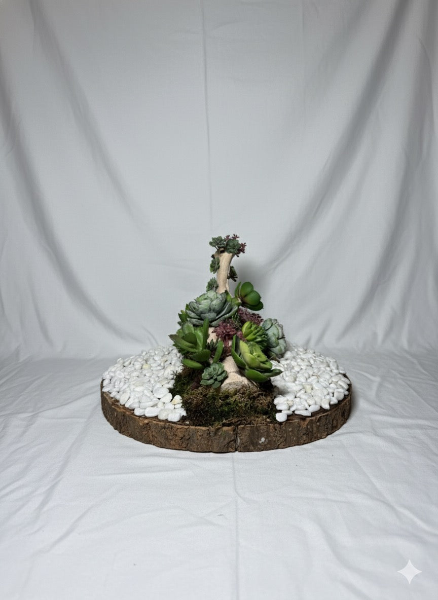 Kivaar Garden plane - Succulent