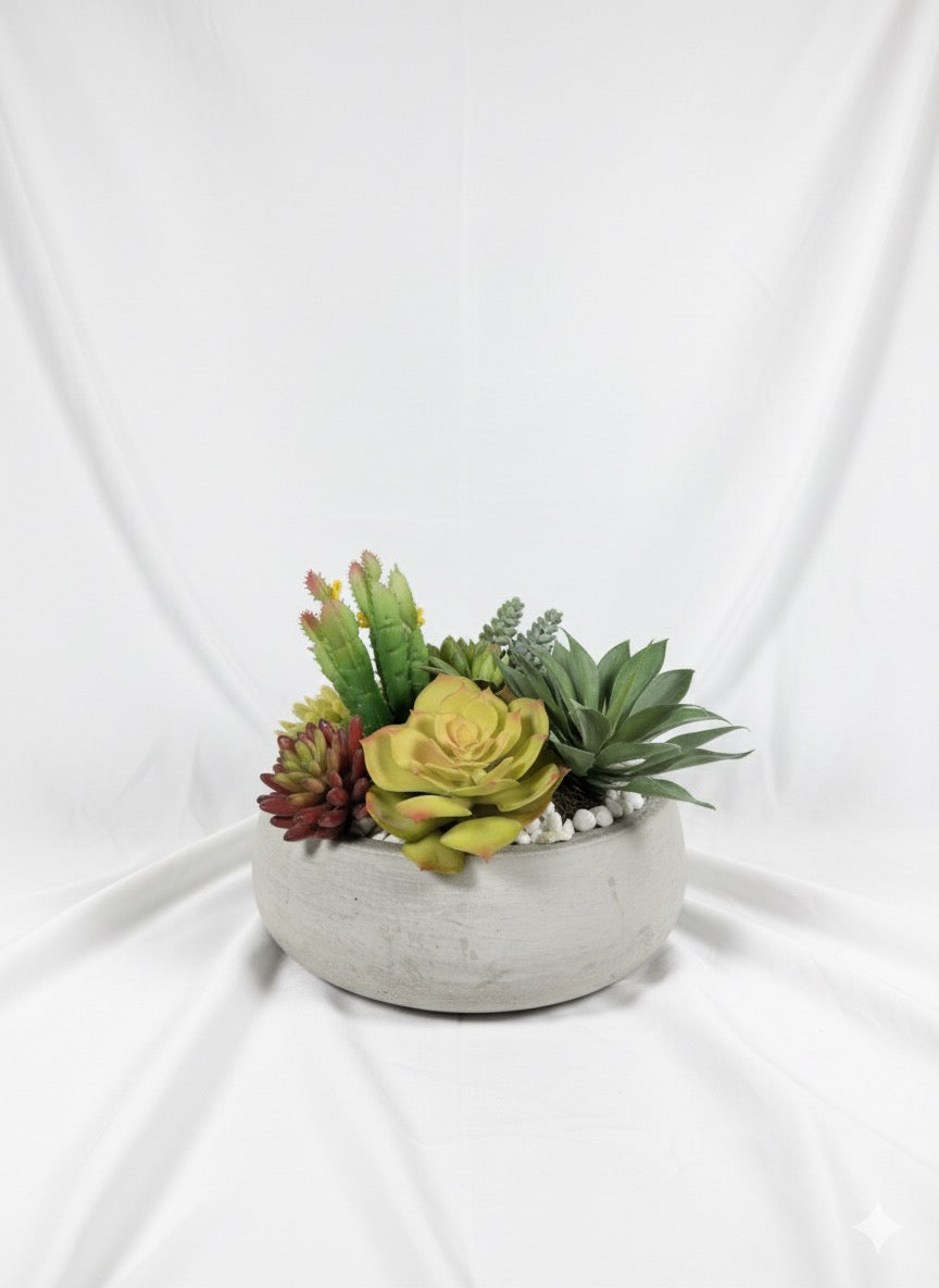 Kivaar passion- Succulent ￼