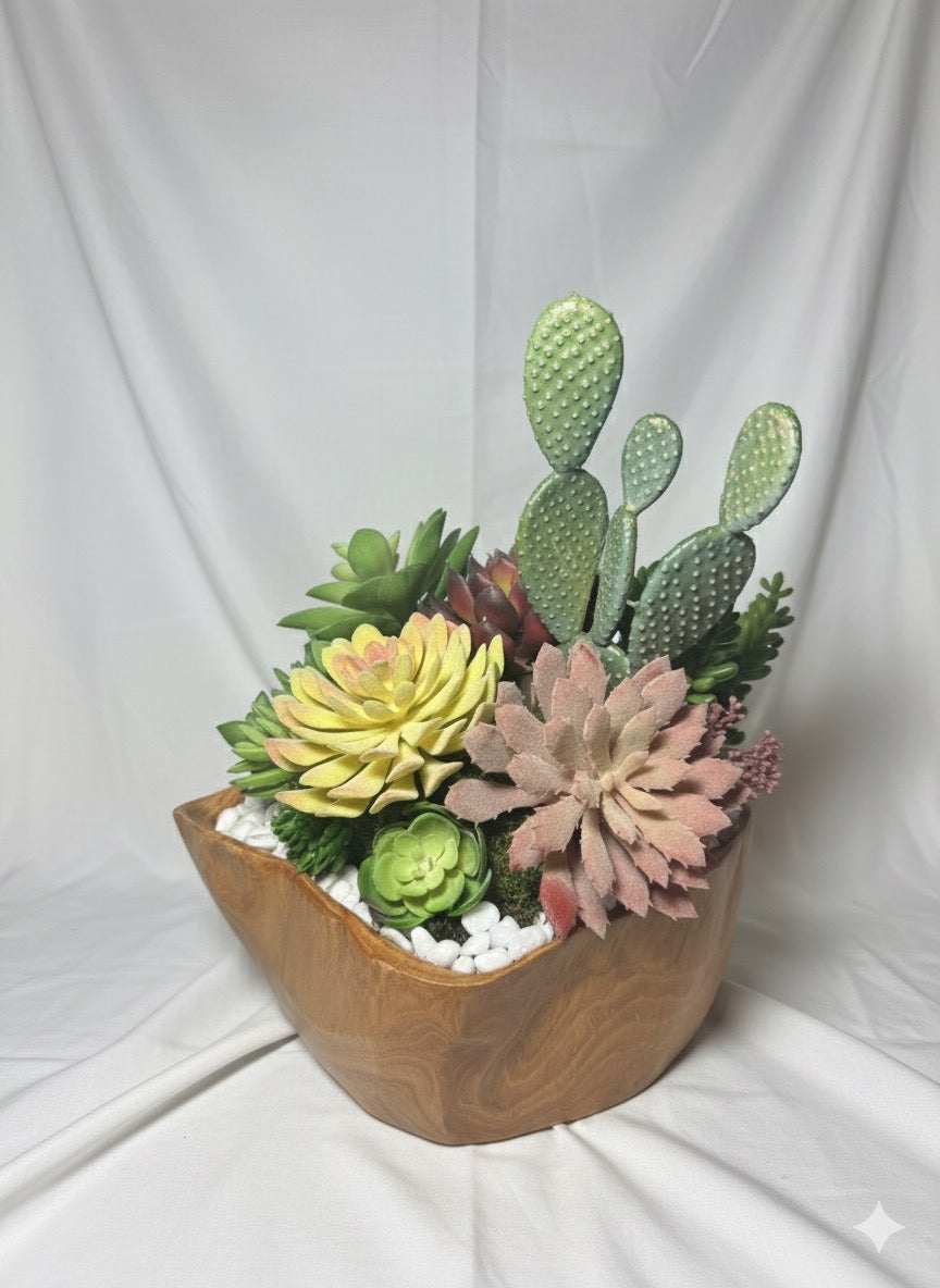 Kivaar Gardens - Succulent Arrangement