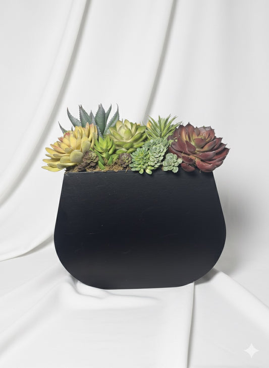 Kivaar Love black. Succulents arrangement.  ￼