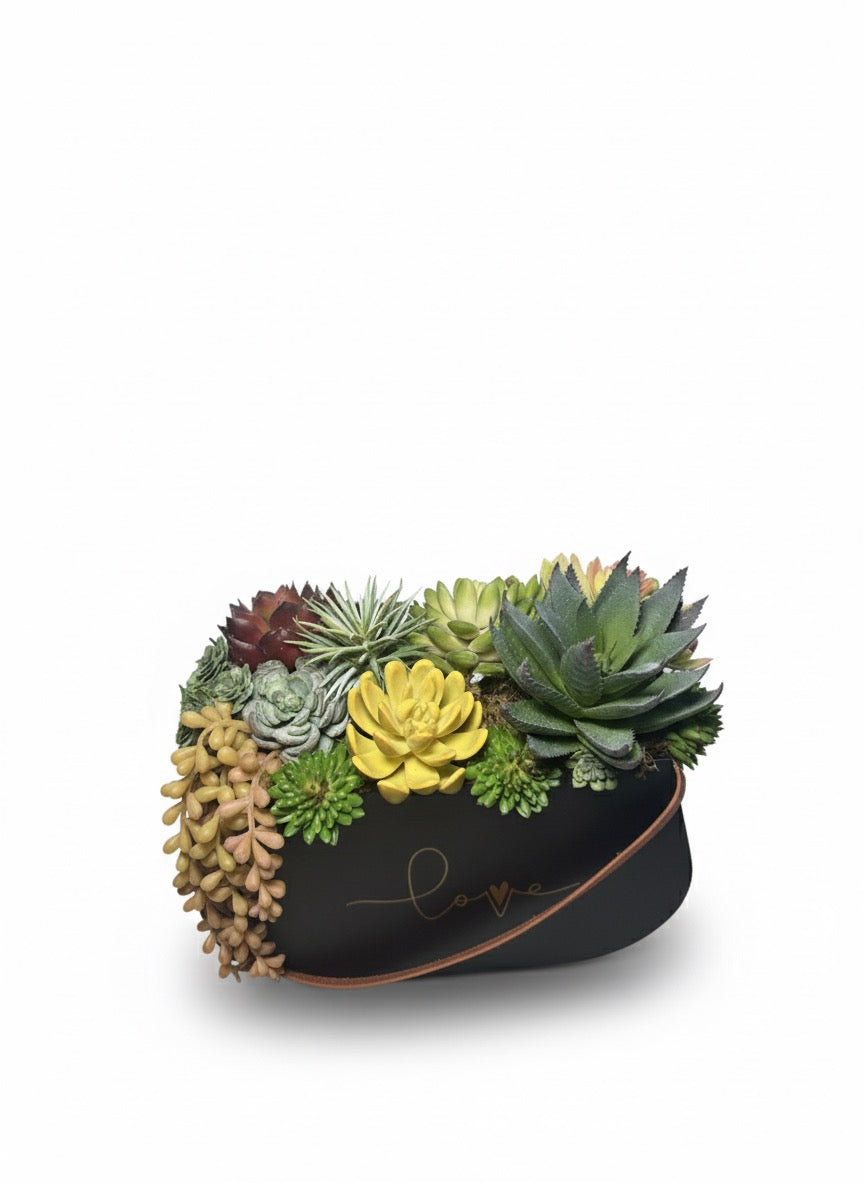 Kivaar Love black. Succulents arrangement.  ￼
